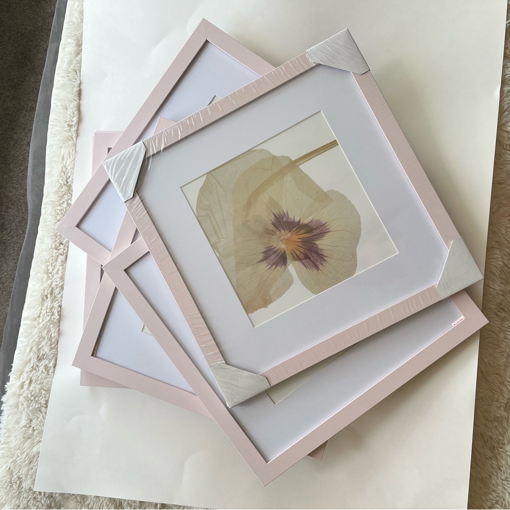 9 New Pink Framed Botanical Art Prints